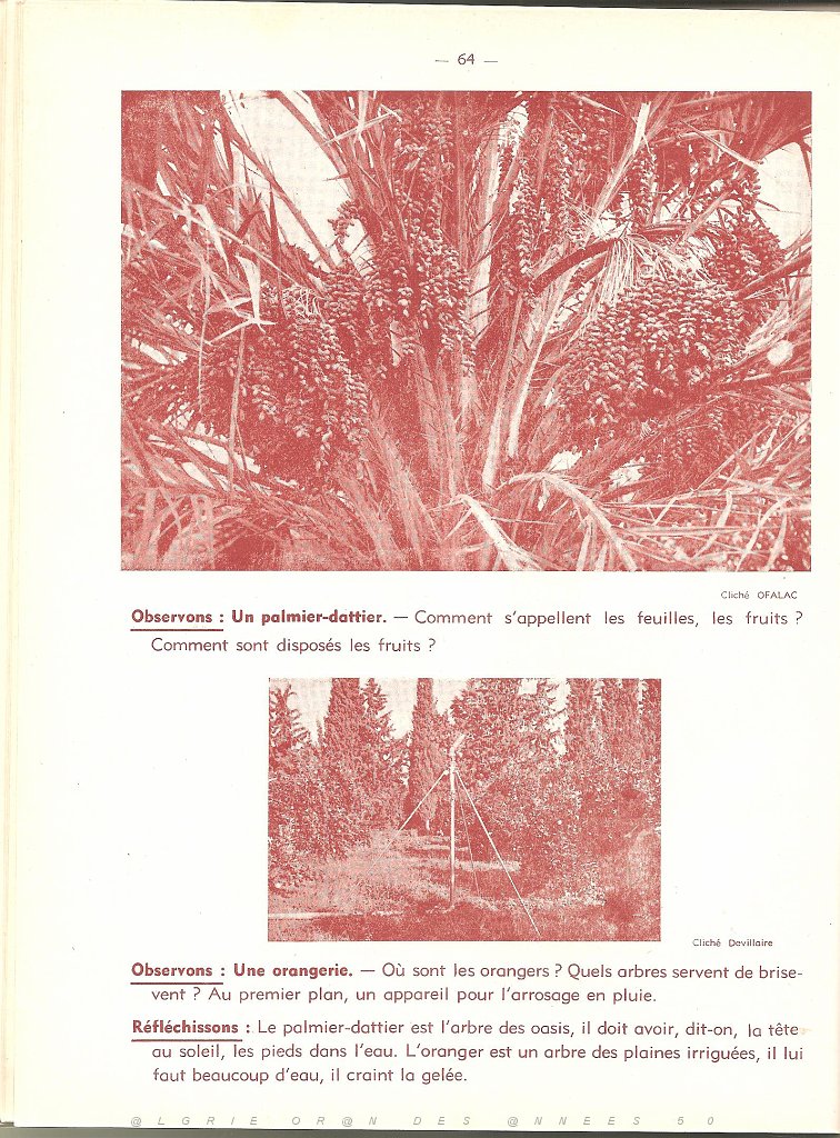 GEO CE1 CE2 DES ANNEES 50 PAGE (64).jpg